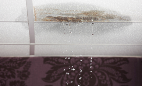 Plumber Gladstone Park